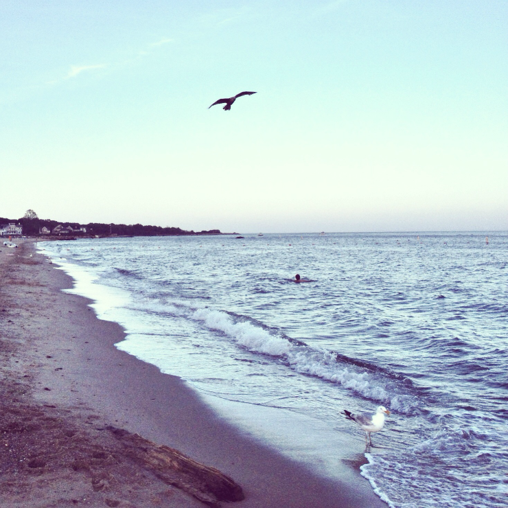 new england beach