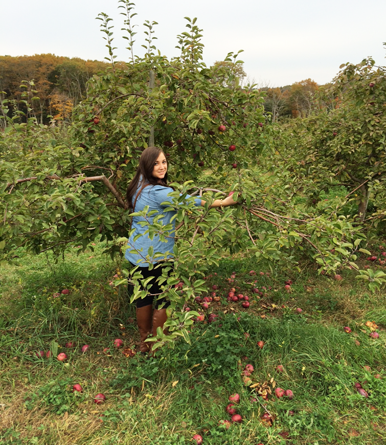 apple picking