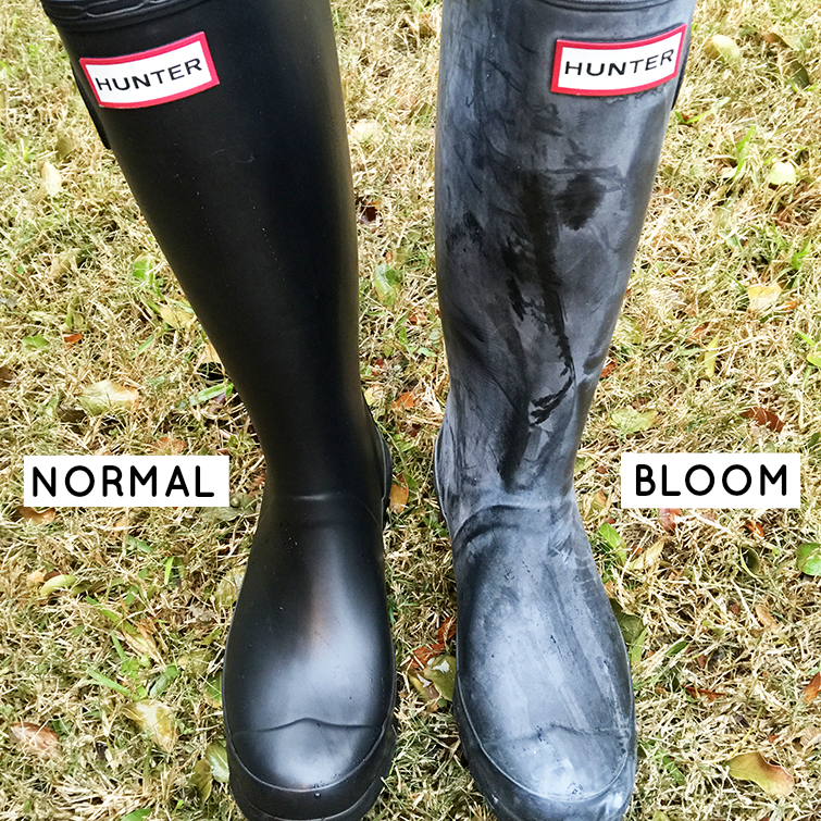 shiny hunter boots