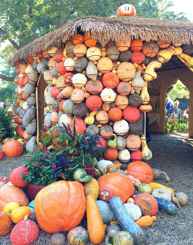 Dallas Arboretum Pumpkin Village Pumpkin House