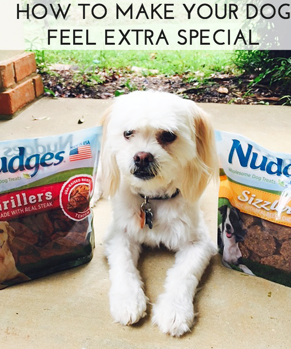 Make Your Dog Feel Extra Special with Nudges Grillers + Sizzlers
