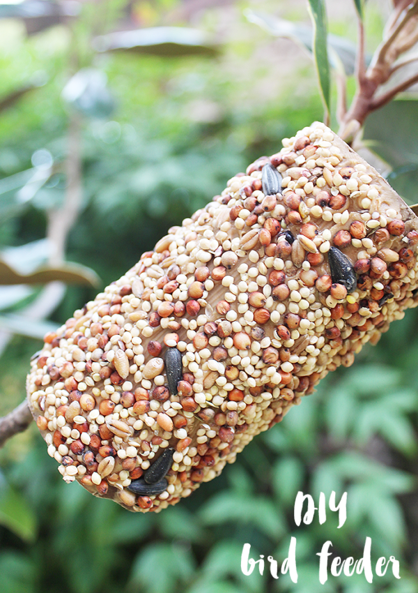 DIY Bird Feeder