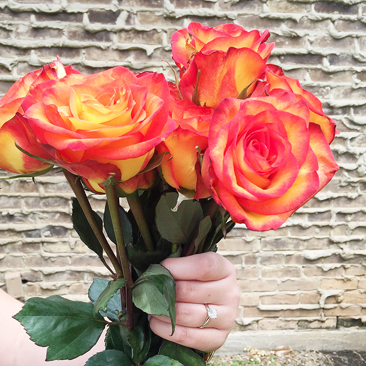 red and orange roses