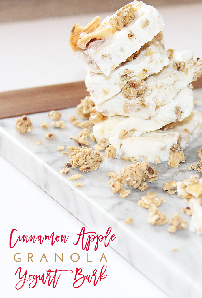 Cinnamon Apple Granola Yogurt Bark Recipe Tutorial