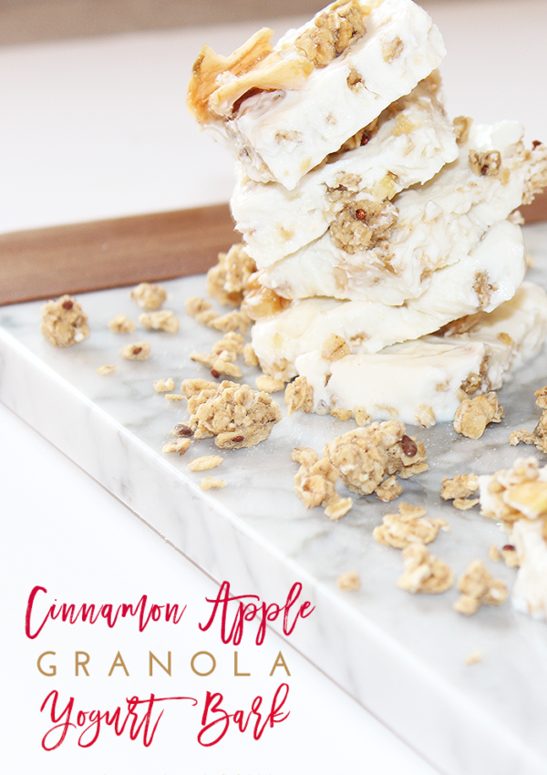 Cinnamon Apple Granola Yogurt Bark Recipe Tutorial