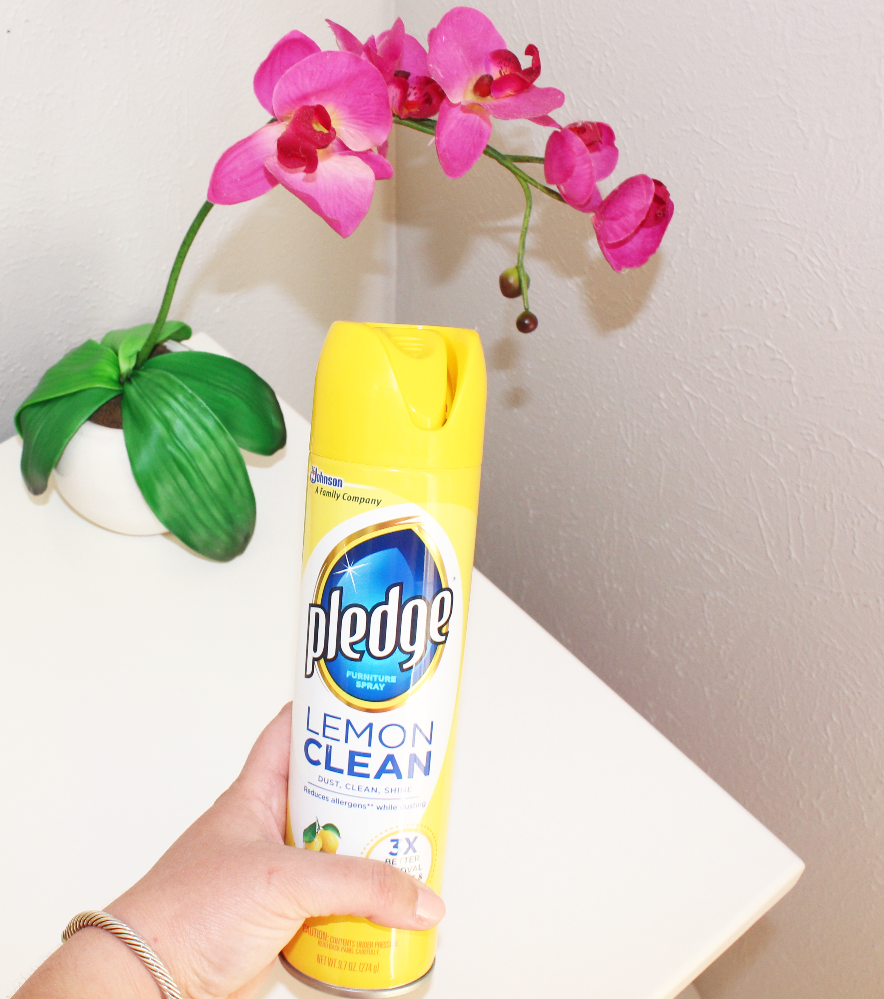 Quick Spring Cleaning Tips