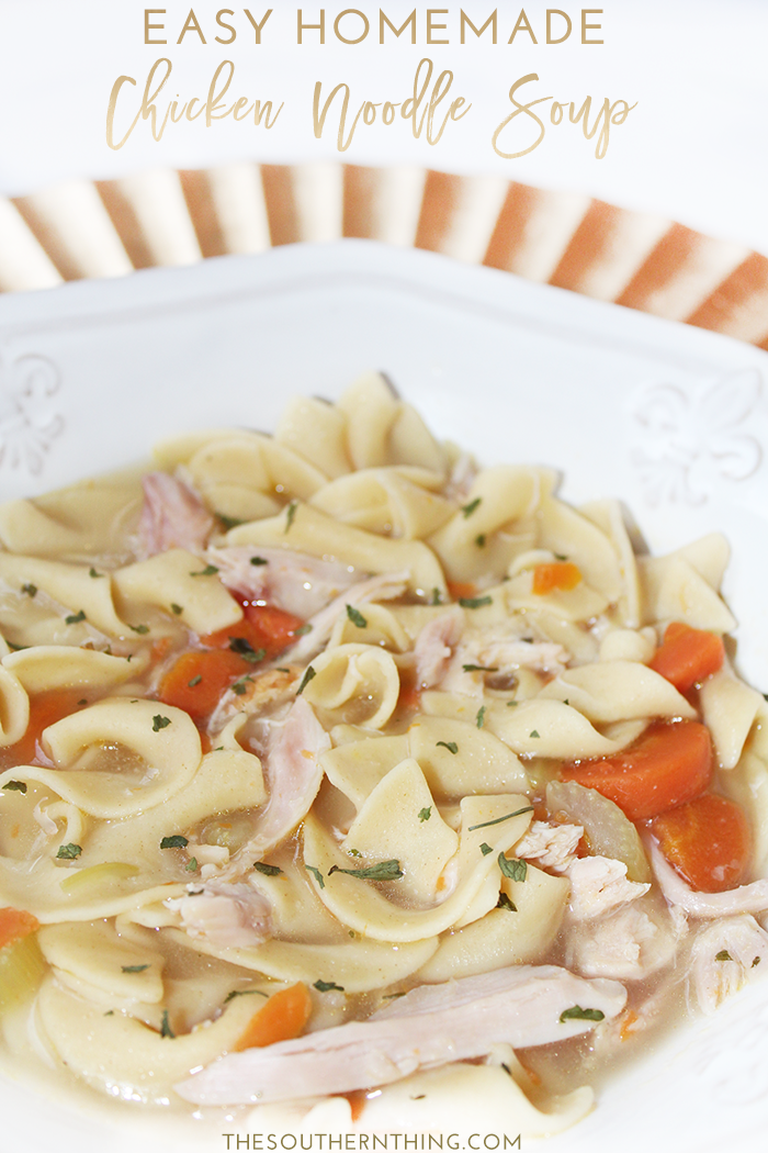 easy homemade chicken noodle soup