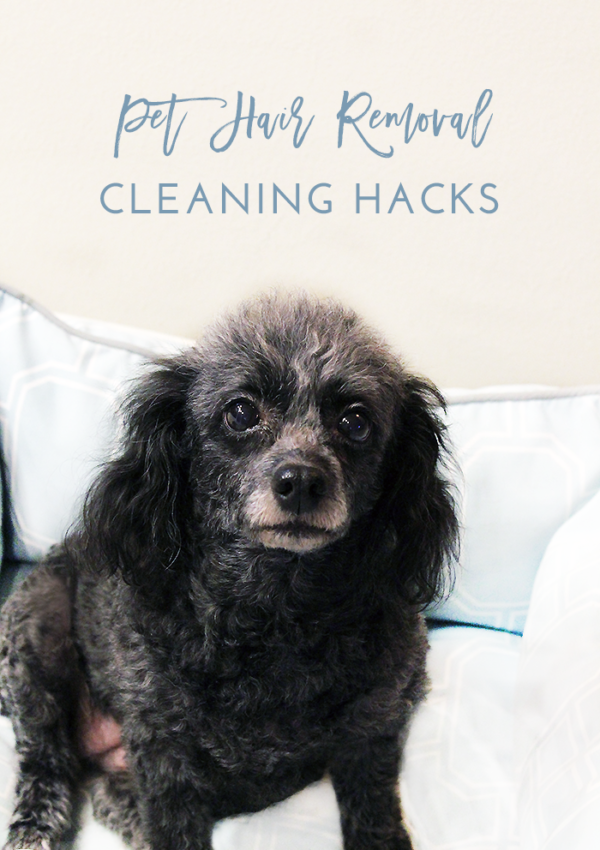 pet hair removal hacks