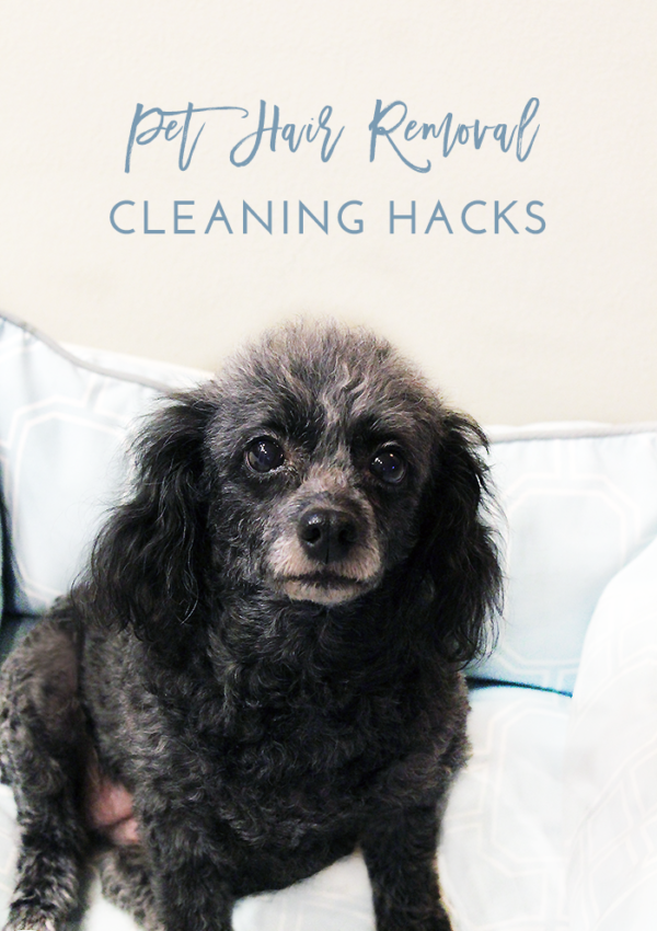 Pet Hair Removal Hacks