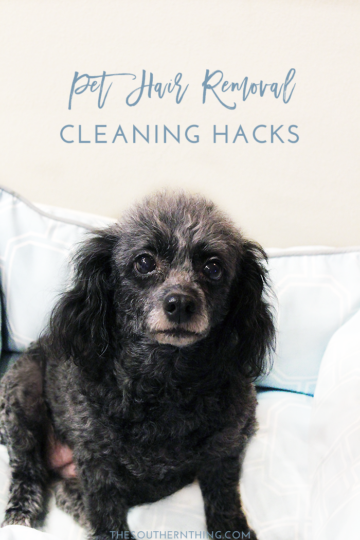 pet hair removal hacks