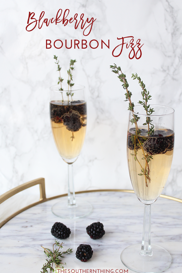 Blackberry Bourbon Fizz Recipe