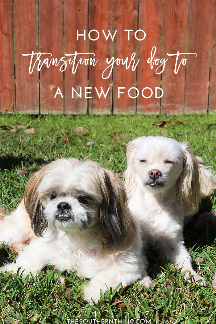 How to Transition Your Dog to a New Food | How to Switch Dog Food 