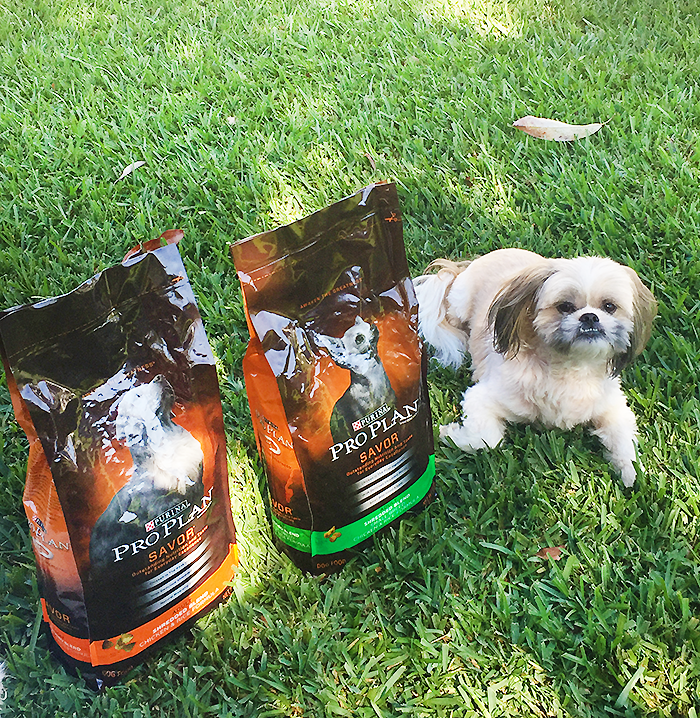 Purina Pro Plan Dog Food