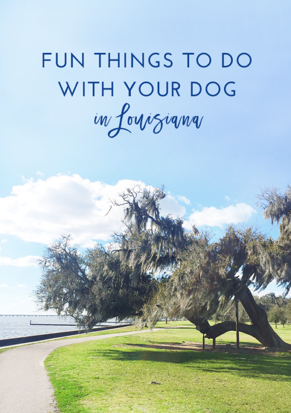 Fun Things to Do With Your Dog in Louisiana