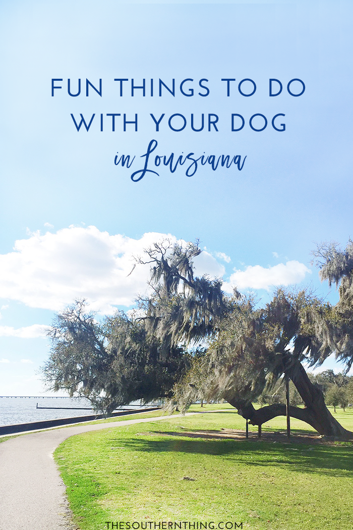 Fun Things to Do With Your Dog in Louisiana