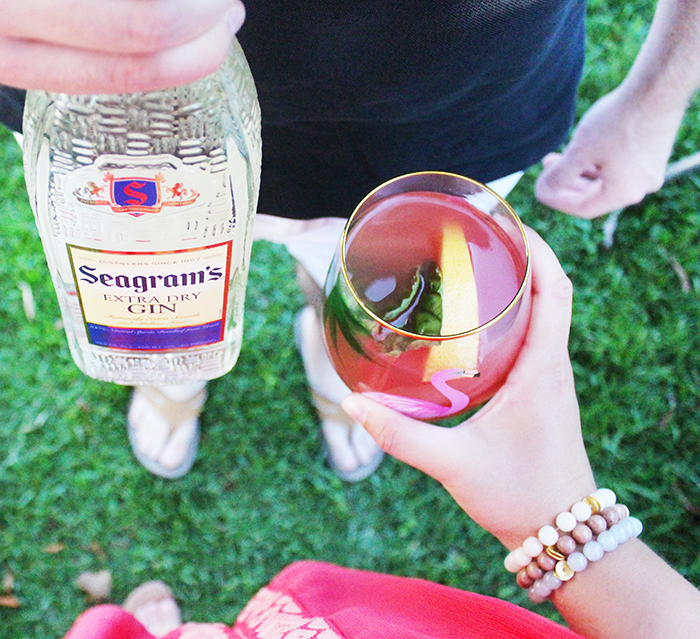 Seagram's Gin Cocktails