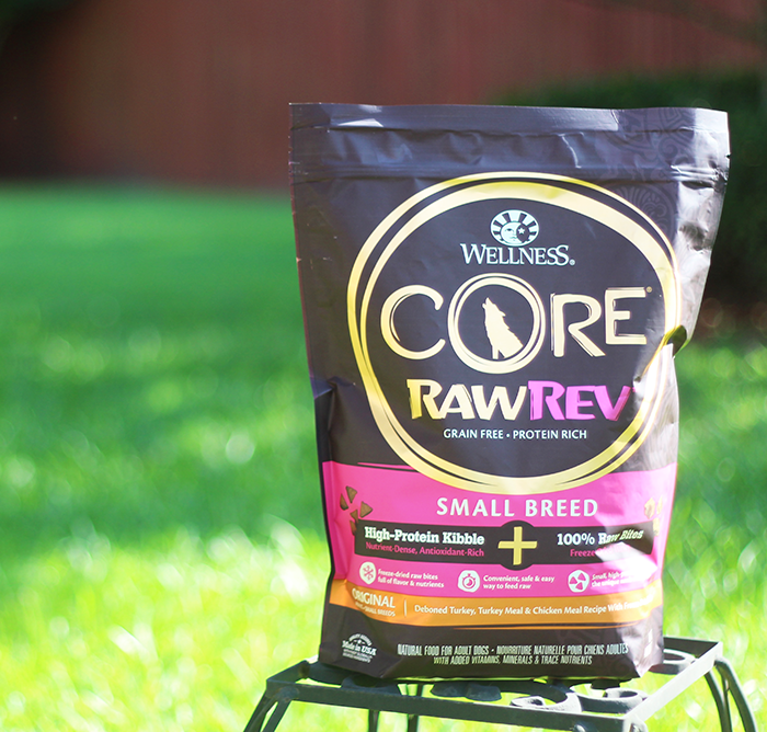 Wellness Core RawRev | How to Safely Feed Your Dog a Raw Dog Food Diet