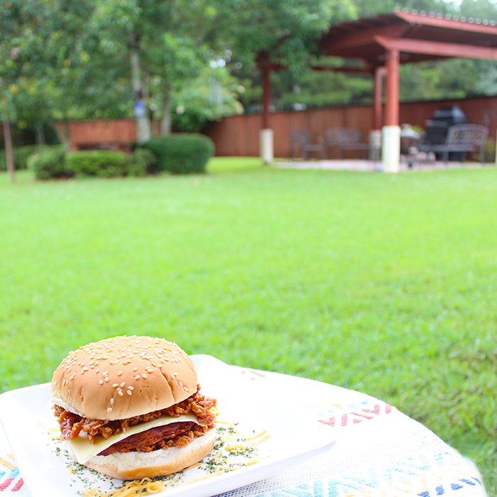 Spicy Chipotle Pulled Pork Black Bean Burger Recipe | Vegan & Vegetarian Friendly Recipe