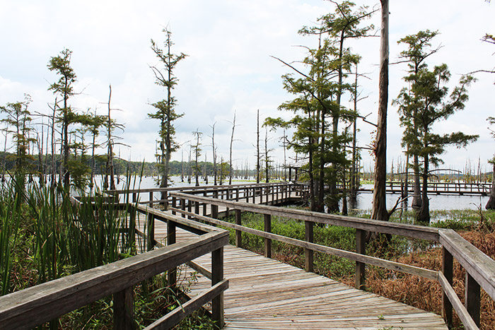 Black Bayou Lake National Wildlife Refuge - Monroe-West Monroe Travel Guide: Where to Stay, Eat, & Play in Monroe-West Monroe, Louisiana | How to Spend 48 Hours in Monroe & West Monroe