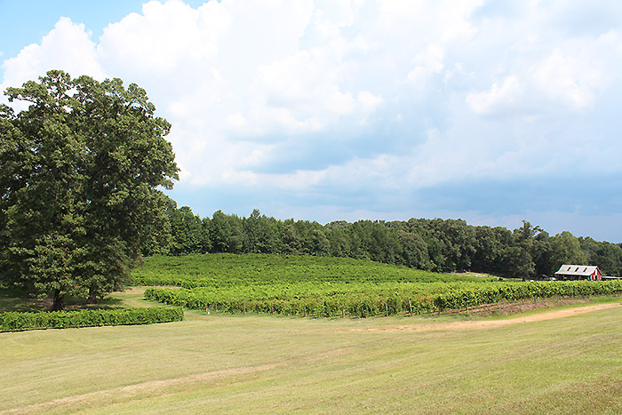 Landry Vineyards Wine Tasting & Tour - Monroe-West Monroe Travel Guide: Where to Stay, Eat, & Play in Monroe-West Monroe, Louisiana | How to Spend 48 Hours in Monroe & West Monroe