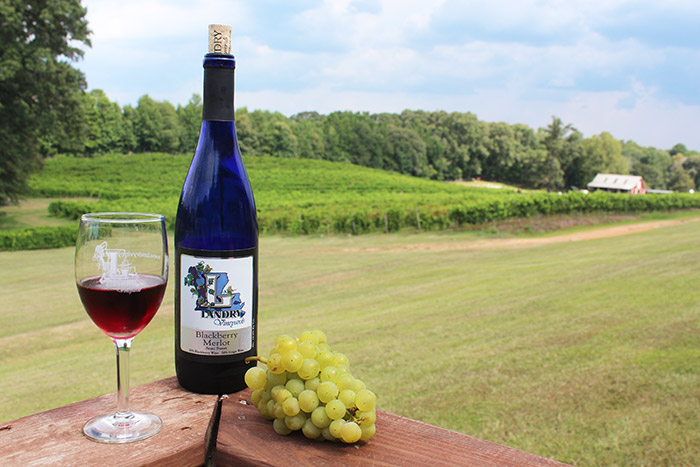 Landry Vineyards Wine Tasting & Tour - Monroe-West Monroe Travel Guide: Where to Stay, Eat, & Play in Monroe-West Monroe, Louisiana | How to Spend 48 Hours in Monroe & West Monroe