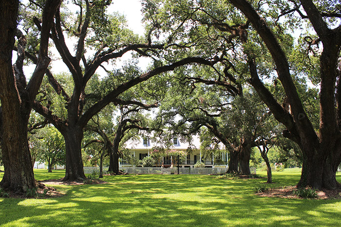 Oakland Plantation Natchitoches, LA - The Ultimate Natchitoches Travel Guide: Where to Eat, Stay, & Play