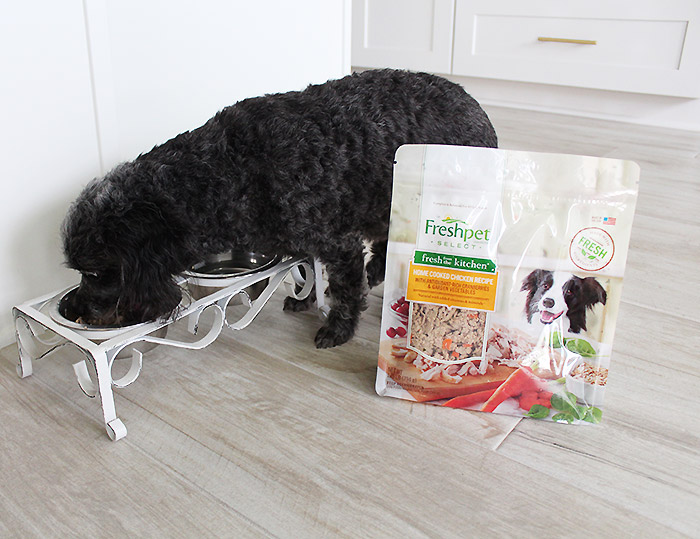 Why Your Pets Will Love Freshpet | A review of Freshpet refrigerated dog food