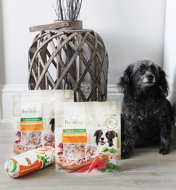 Why Your Pets Will Love Freshpet | A review of Freshpet refrigerated dog food