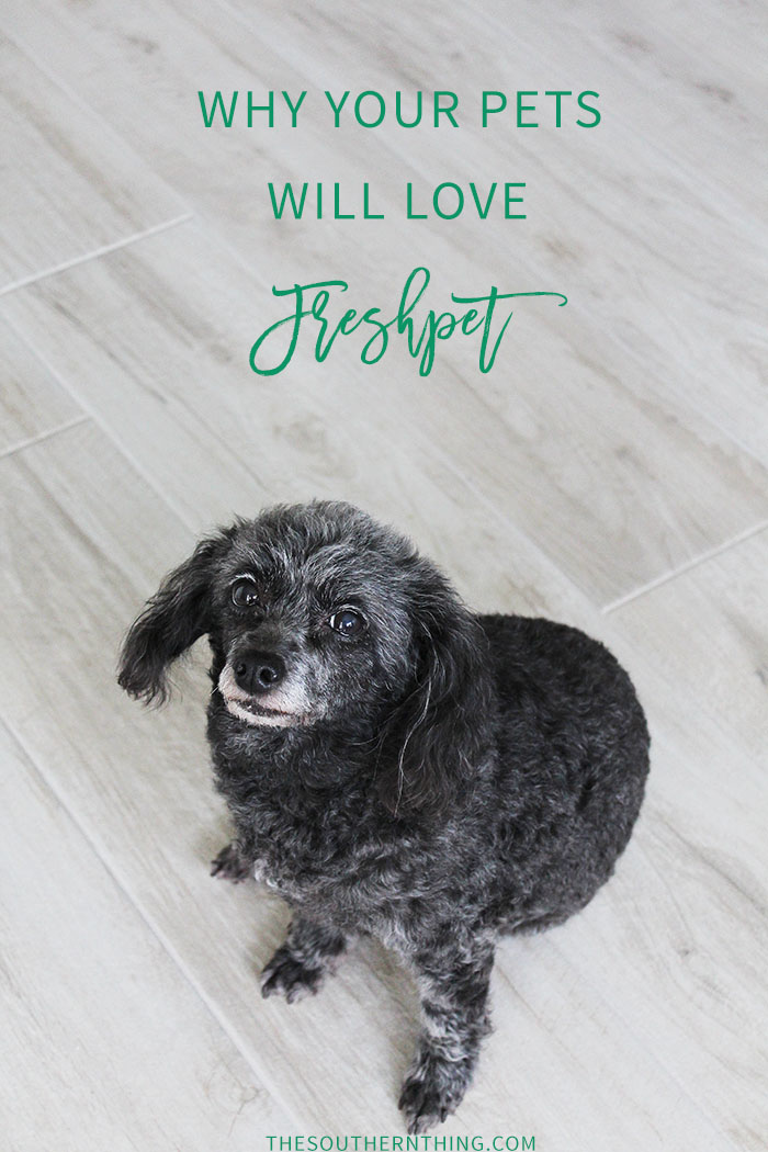 Why Your Pets Will Love Freshpet | A review of Freshpet refrigerated dog food