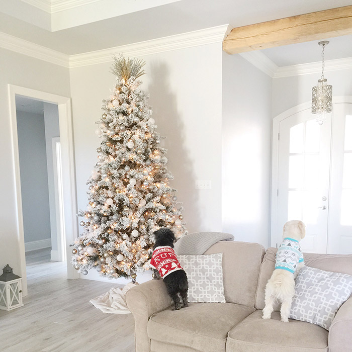 Tips for Making a Home for the Holidays