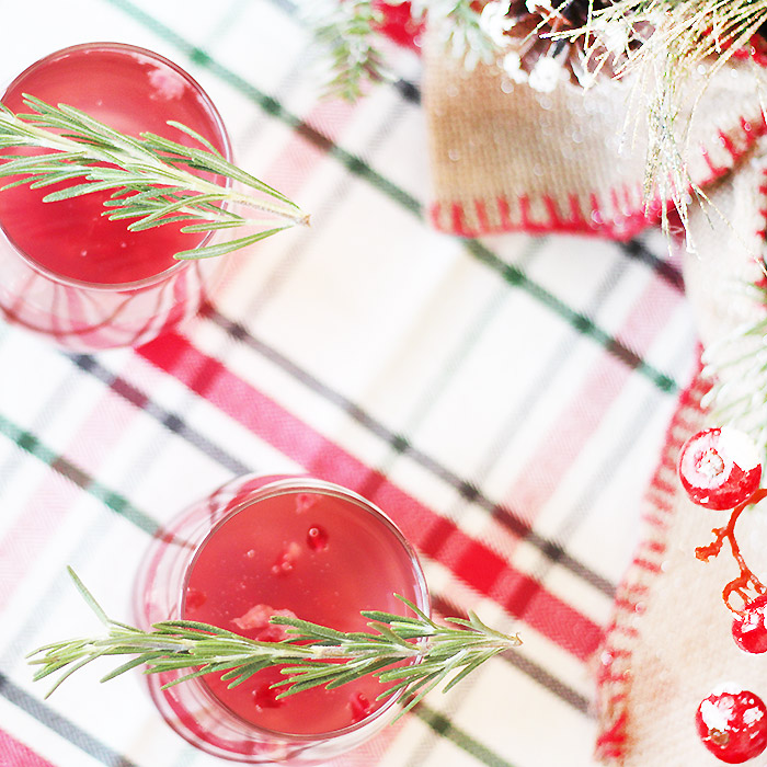 Pomegranate Ginger Spritzer Wine Cocktail Recipe