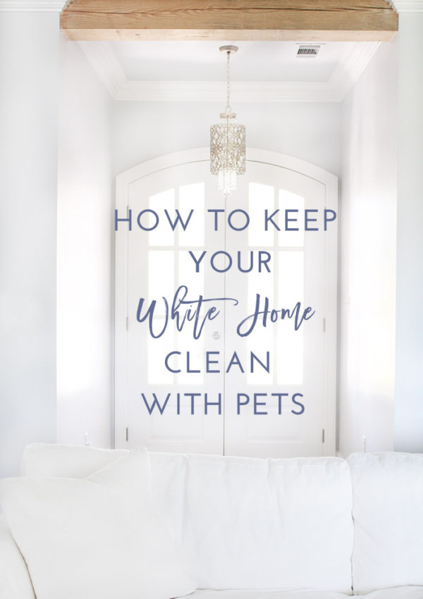 How to Keep Your White Home Clean with Pets