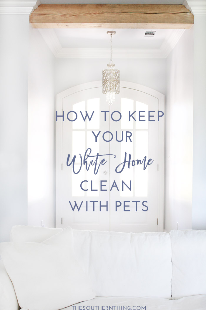 How to Keep Your White Home Clean with Pets