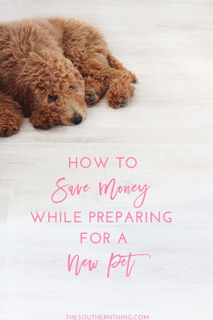 How to Save Money While Preparing for a New Pet