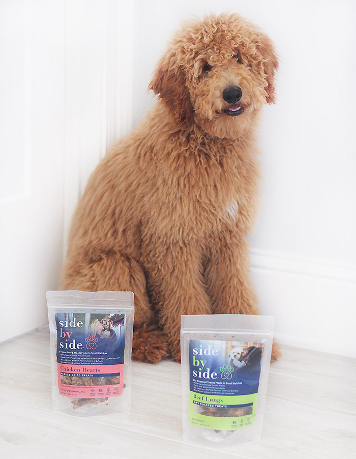 Choosing the Right Food for a New Puppy: Our Experience with Side by Side Dog Food