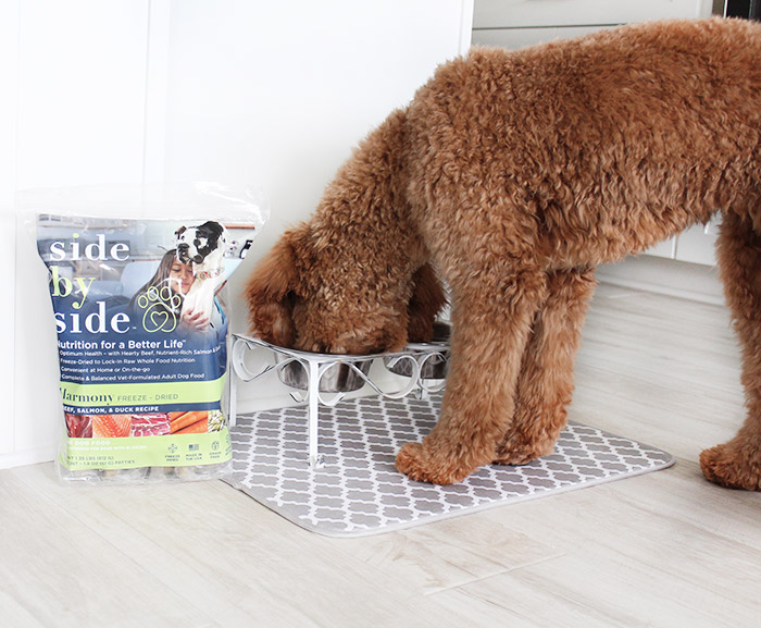Our Experience with Side by Side Pet Food