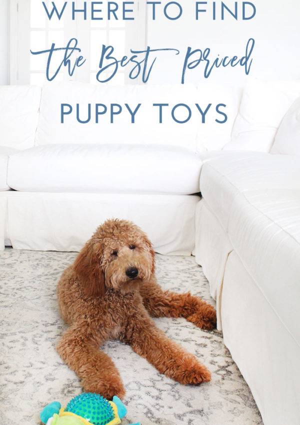 Where to Find the Best Priced Puppy Toys