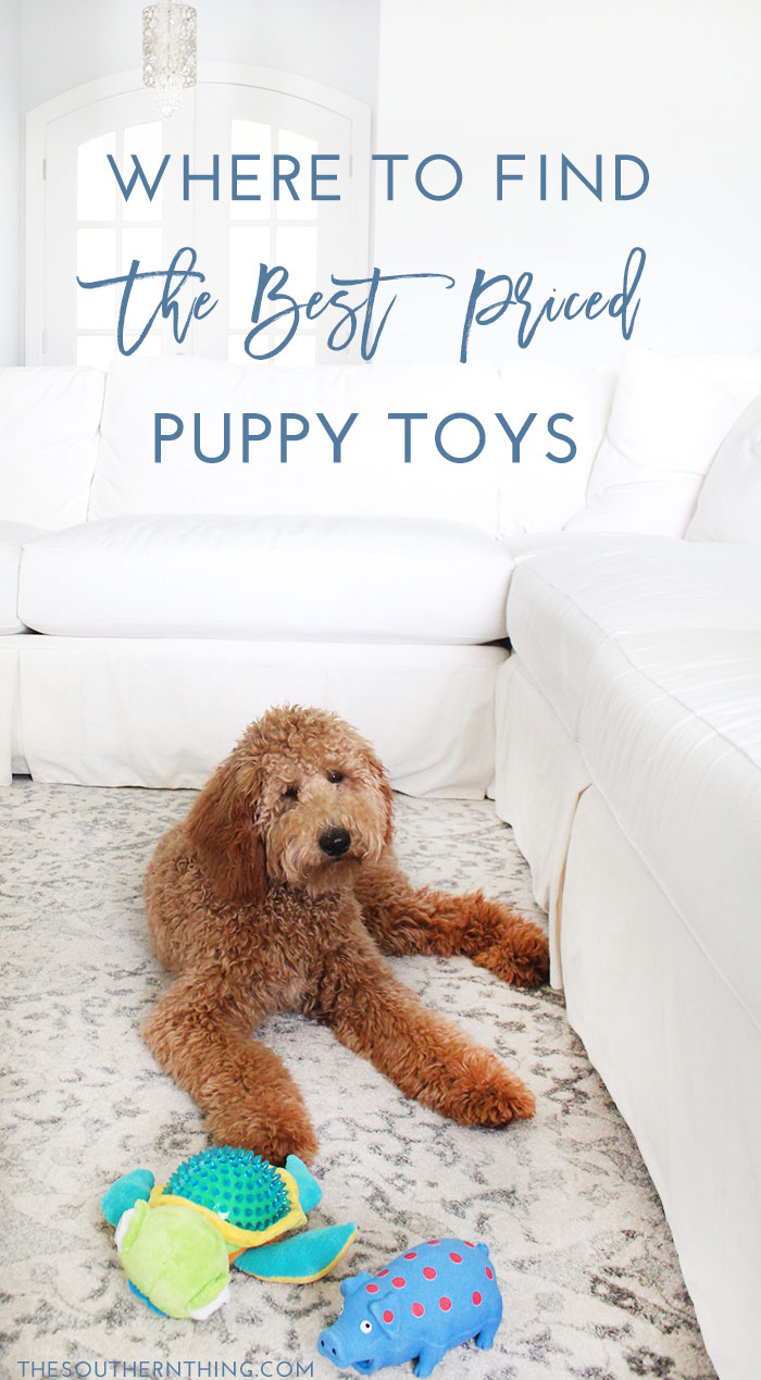 Where to Find the Best Priced Puppy Toys
