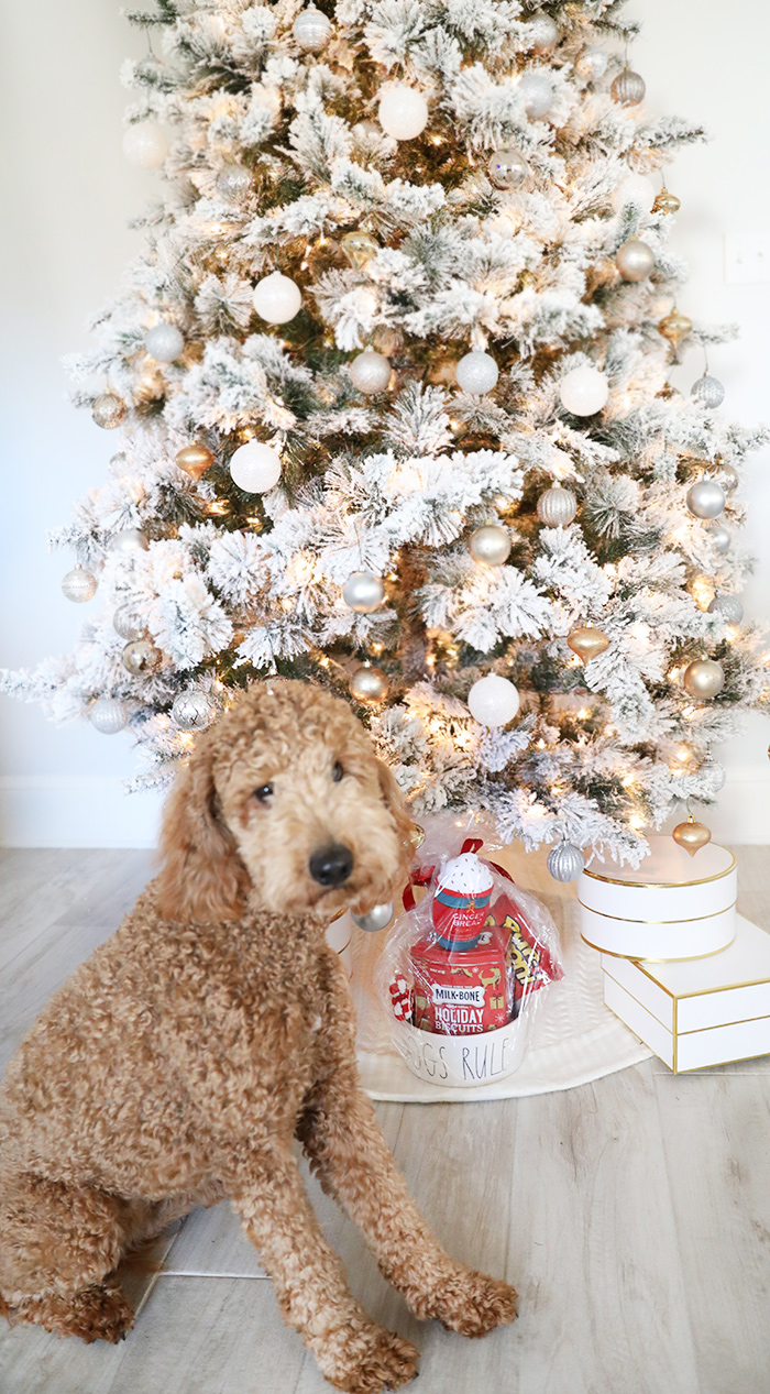 15 DIY Dog Christmas Gifts for Dogs & Dog Lovers