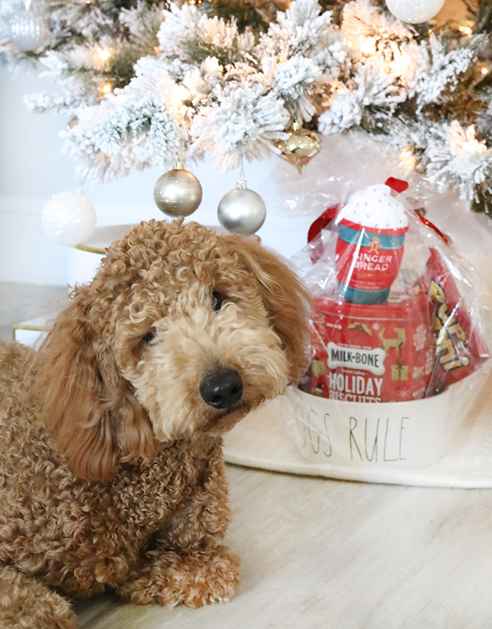 DIY Dog Gift Basket Idea Tutorial How to Make a Gift Basket The Southern Thing