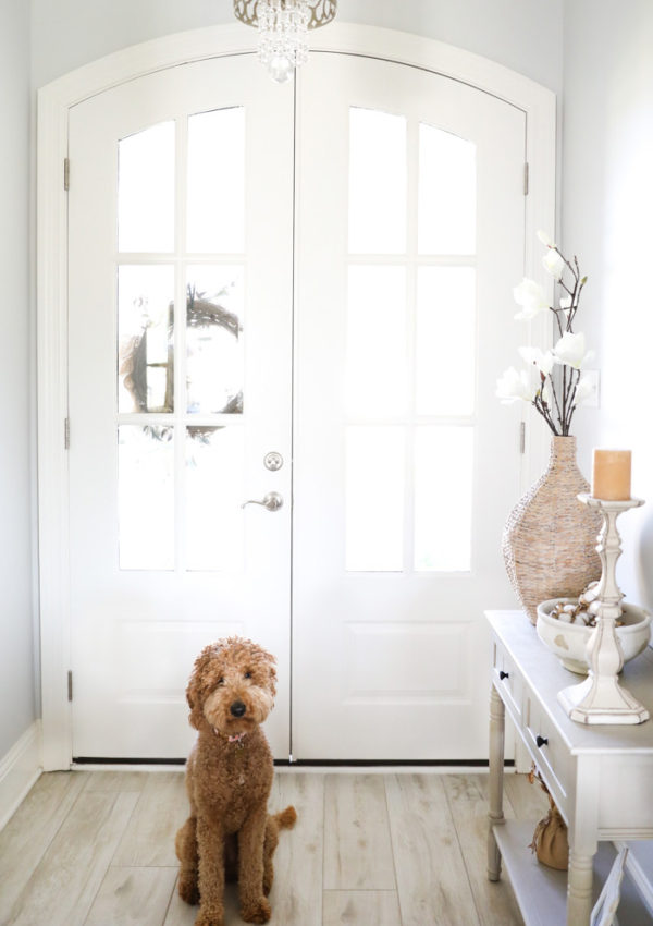 15 Best Cleaning Tips Every Pet Owner Should Know