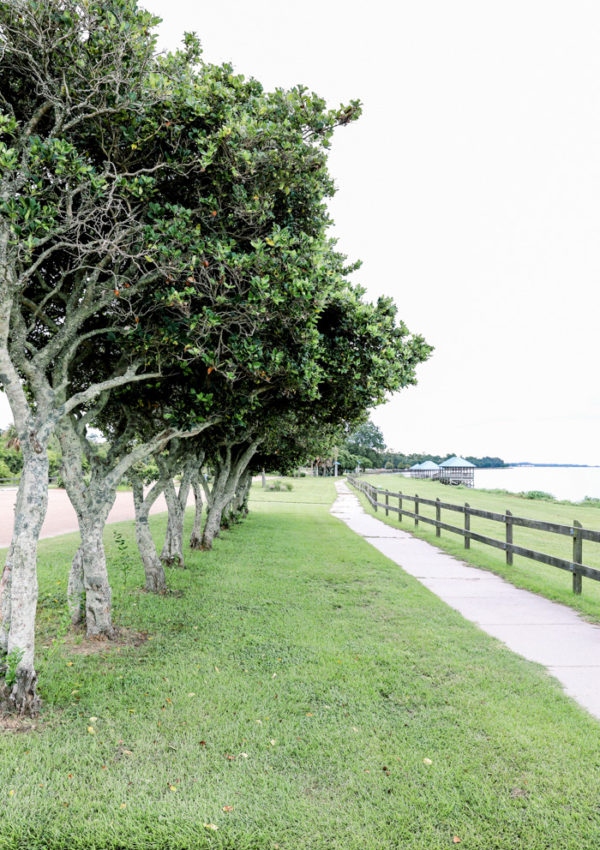 Green-Park-by-Lake