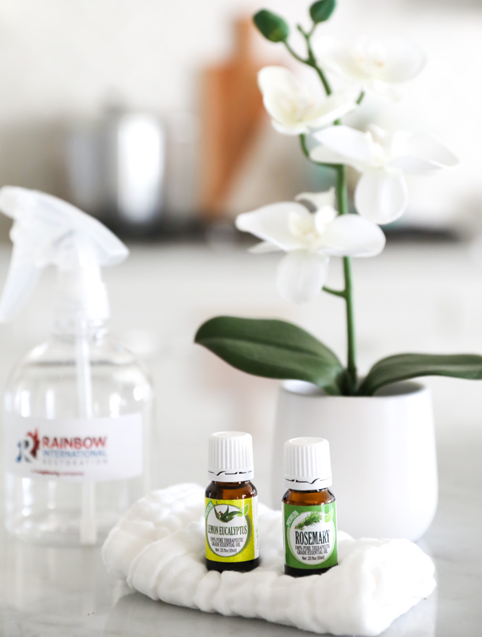 Essential Oils for Pet Odors