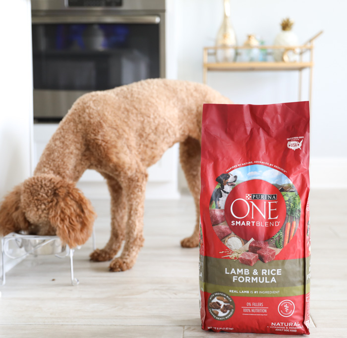 Purina One Smart Blend Lamb + Rice Dog Food 