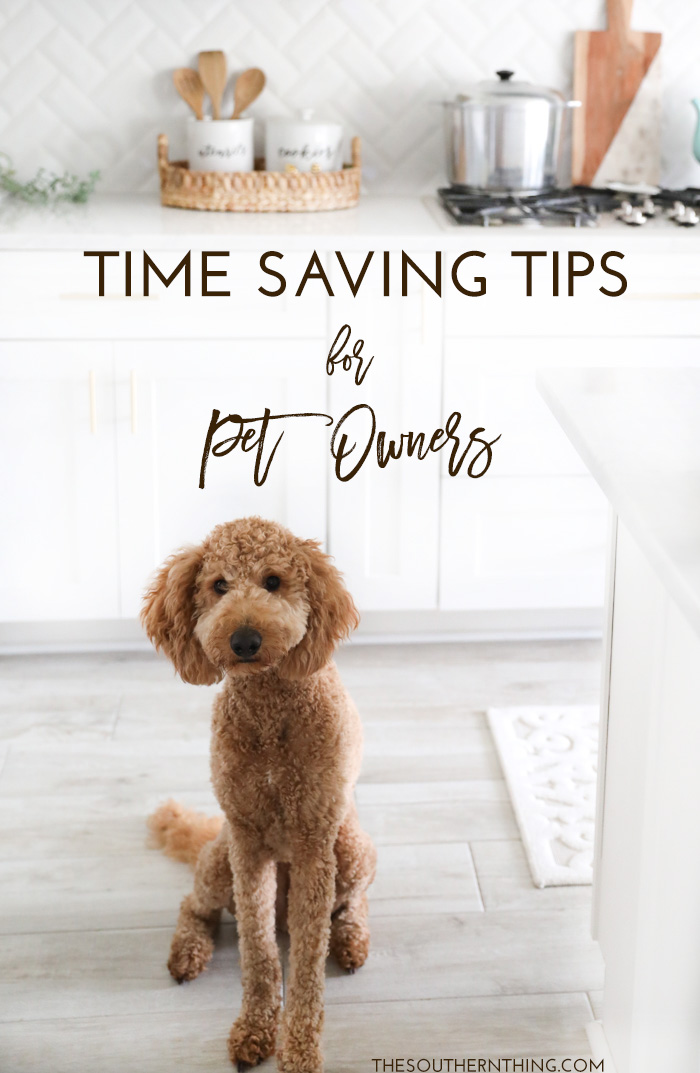 Time Saving Tips for Pet Owners | 6 Things Every Pet Owner Should Be Doing