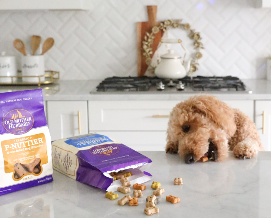 Old Mother Hubbard P-Nuttier Dog Treats