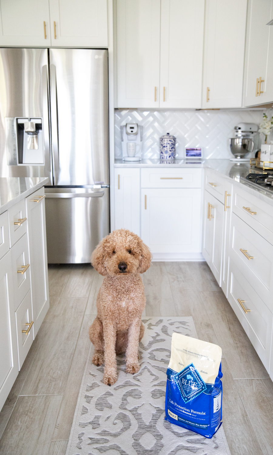 blue buffalo chicken brown rice dog food