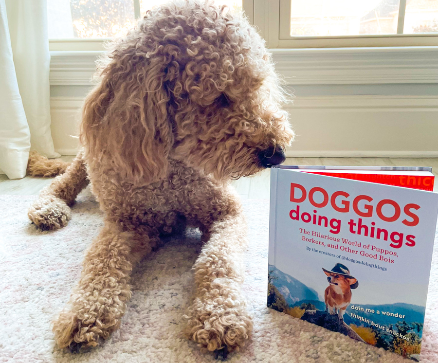 Doggos Doing Things book