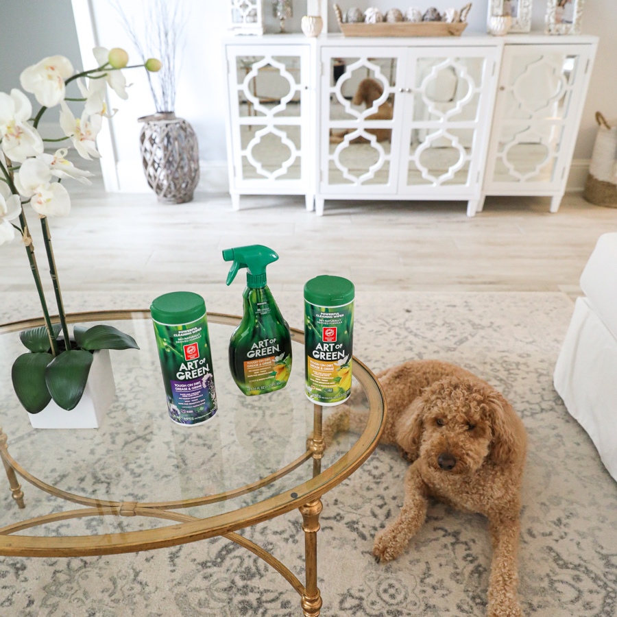 Pet Friendly Cleaning Checklist