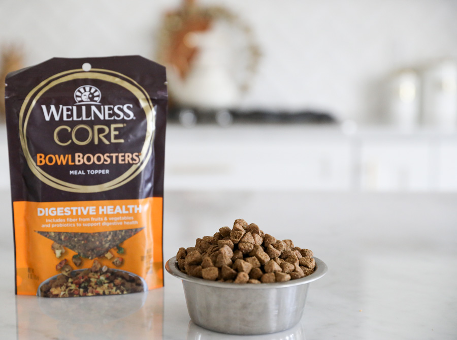 Wellness CORE Bowl Boosters Digestive Health Dry Dog Food Topper